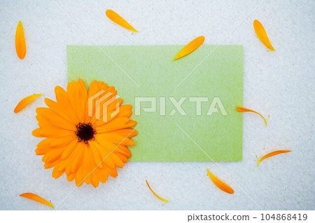 Cute green comment space mockup decorated with yellow calendula flowers on fluffy cloth white background 104868419