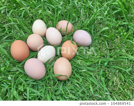 Easter eggs on green grass 104869541