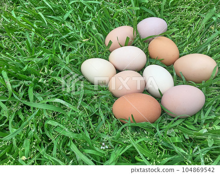 Easter eggs on green grass 104869542