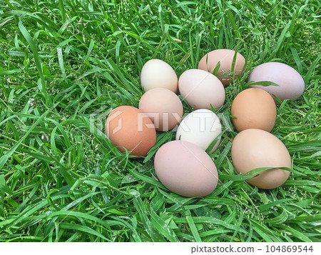 Easter eggs on green grass focused shot 104869544