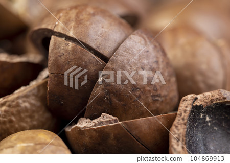 A bunch of ripe macadamia nuts in a hard shell A bunch of ripe macadamia nuts in a hard shell 104869913