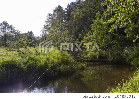 a small river in eastern Europe in the summer 104870012