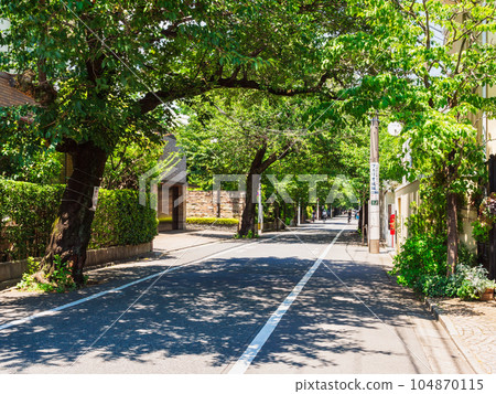 Tokyo Seijo 104870115