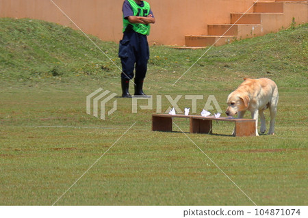 氣味篩查 104871074