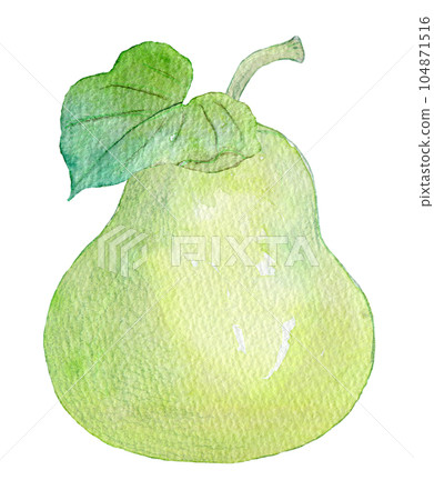 Kanpyo 水彩插圖 104871516