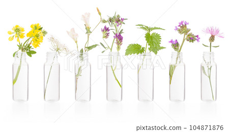 Herbs with a bottle of essential oil. Collection of herbs, flower therapy. 104871876