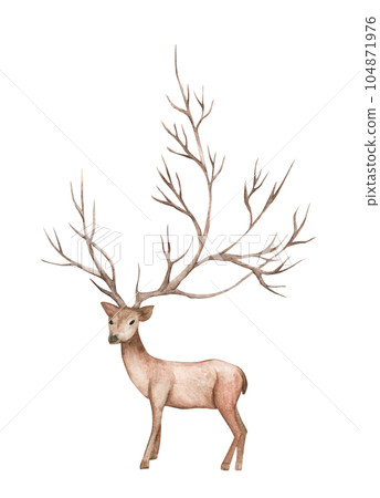Watercolor painting of deer, big antlers, mountain tree branch. Watercolor painting of deer, big antlers, mountain tree branch. 104871976