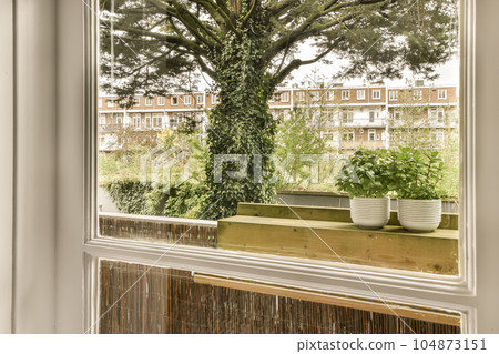 a tree outside through a window with some pots on the windowsill, in front of an apartment building 104873151