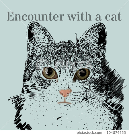 一隻貓抬頭 一隻貓抬頭 104874333