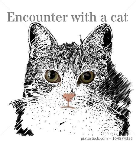 一隻貓抬頭 104874335