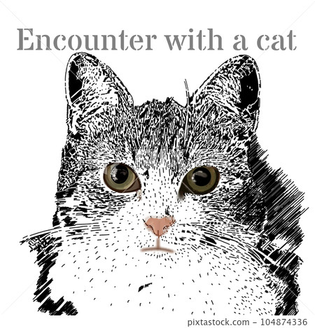 一隻貓抬頭 104874336