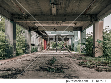 Beside the old metal staircase is in the abandoned buildings and was left to deteriorate over years. 104875110