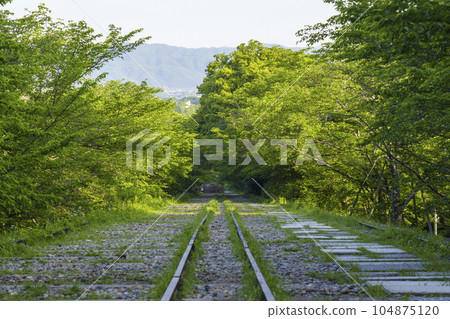 京都，蹴上斜坡，綠意盎然，初夏時節 104875120