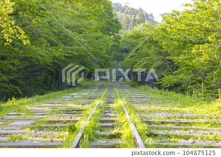 Kyoto, Keage Incline surrounded by fresh greenery, early summer season 104875125