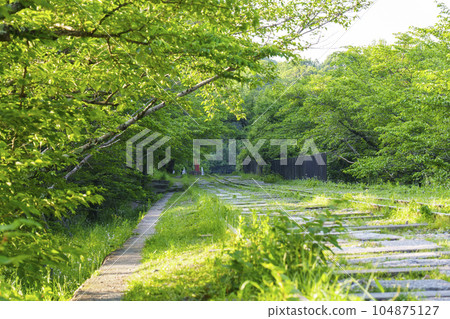 Kyoto, Keage Incline surrounded by fresh greenery, early summer season 104875127