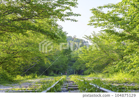Kyoto, Keage Incline surrounded by fresh greenery, early summer season Kyoto, Keage Incline surrounded by fresh greenery, early summer season 104875129