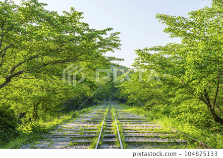 Kyoto, Keage Incline surrounded by fresh greenery, early summer season 104875133
