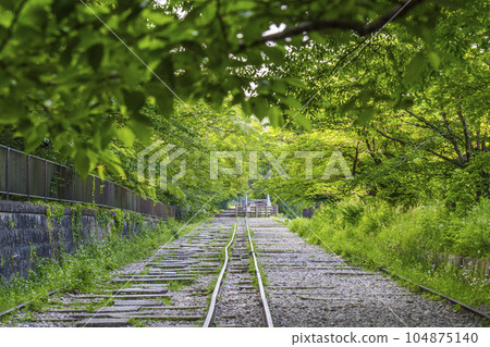 京都,蹴上斜坡,綠意盎然,初夏時節 京都,蹴上斜坡,綠意盎然,初夏時節 104875140