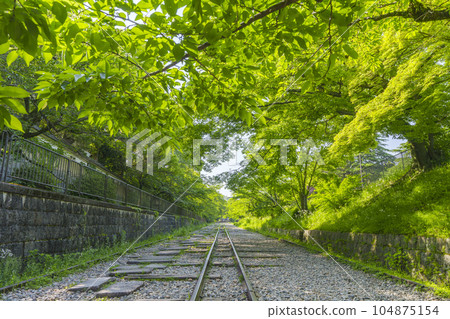 京都,蹴上斜坡,綠意盎然,初夏時節 京都,蹴上斜坡,綠意盎然,初夏時節 104875154