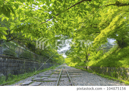 京都,蹴上斜坡,綠意盎然,初夏時節 京都,蹴上斜坡,綠意盎然,初夏時節 104875156