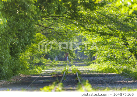 Kyoto, Keage Incline surrounded by fresh greenery, early summer season 104875166