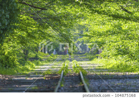 Kyoto, Keage Incline surrounded by fresh greenery, early summer season Kyoto, Keage Incline surrounded by fresh greenery, early summer season 104875168
