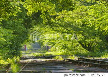 Kyoto, Keage Incline surrounded by fresh greenery, early summer season 104875178
