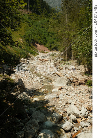 Pathway amidst trees into the woods and a rockfield in the Leoganger Steinberge, Austria Pathway amidst trees into the woods and a rockfield in the Leoganger Steinberge, Austria 104875488