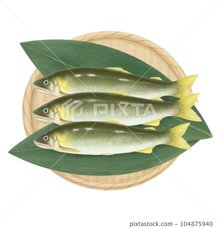 Hand drawn illustration of sweetfish on a strainer Hand drawn illustration of sweetfish on a strainer 104875940