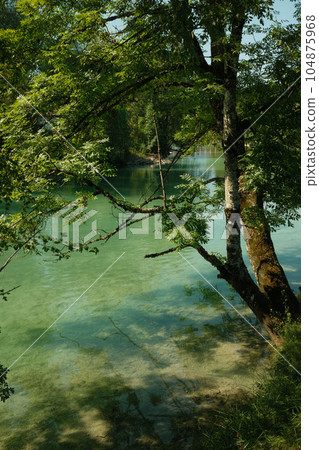 Gorgeous view of crystal-clear water and idyllic tree at the Mangfall river near Gmund, Germany 104875968