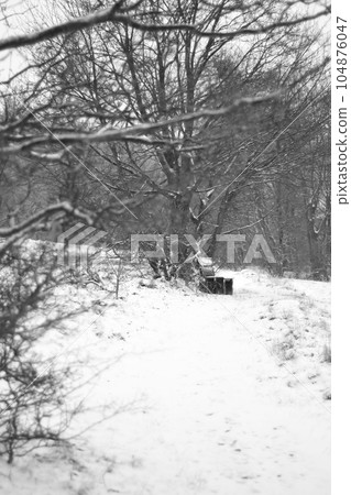 A lonely bench in between trees and snow in Goslar, Germany A lonely bench in between trees and snow in Goslar, Germany 104876047