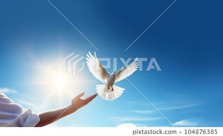 Hands releasing white doves in blue sky with sunrise during sunset. Symbol of Freedom and peace on blue background with copy space Hands releasing white doves in blue sky with sunrise during sunset. Symbol of Freedom and peace on blue background with copy space 104876385