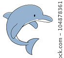 curled up dolphin 104878361