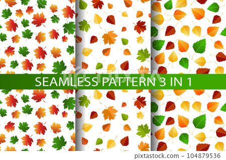 Multicolored autumn seamless pattern set 3 in 1 of autumn birch and maple leaves on a white or transparent background 104879536