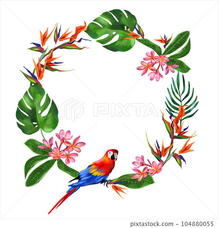 Macaw parrot and exotic plants. Watercolor tropical wreath isolated on white background. Greeting cards, wedding invitations, flyers and banners. Macaw parrot and exotic plants. Watercolor tropical wreath isolated on white background. Greeting cards, wedding invitations, flyers and banners. 104880055