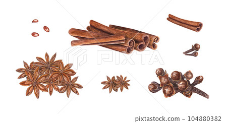 Watercolor clip art of star anise, dried cloves, cinnamons sticks isolated on white background. Botanical illustration for Christmas, New Year cards, book design, patterns, banners, spice shops 104880382