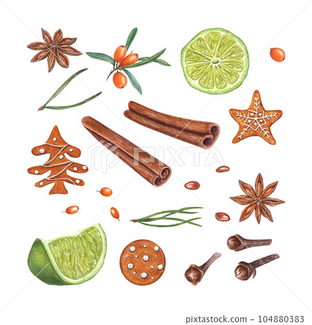 Watercolor set of cinnamons, star anise, lime slices, sea buckthorn berry, gingerbread cookie, spruce, cloves isolated on white background. Illustration for Christmas and New Year design, spice shops 104880383