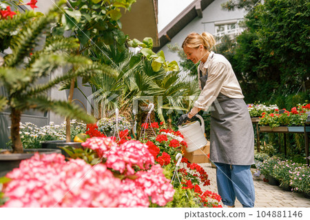 Professional woman gardener wearing apron taking care of plant watering it in floral shop 104881146