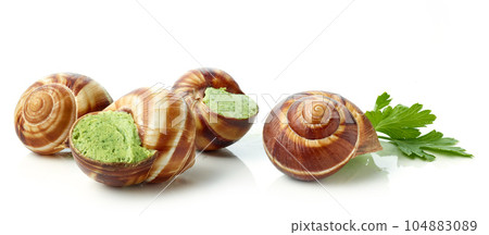escargot snail filled with garlic and parsley butter escargot snail filled with garlic and parsley butter 104883089