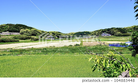 從新城舊戰場千人塚看到的鄉村 從新城舊戰場千人塚看到的鄉村 104883448