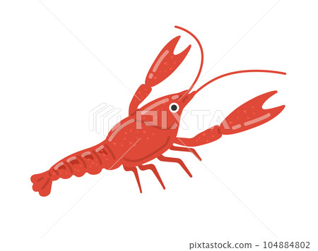 美國小龍蝦圖 104884802