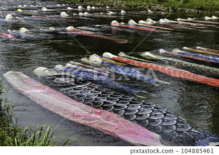 Asano River Koi Sushi 104885461