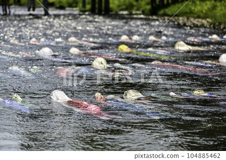 Asano River Koi Sushi 104885462
