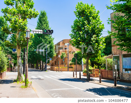 Tokyo Seijo 104886477
