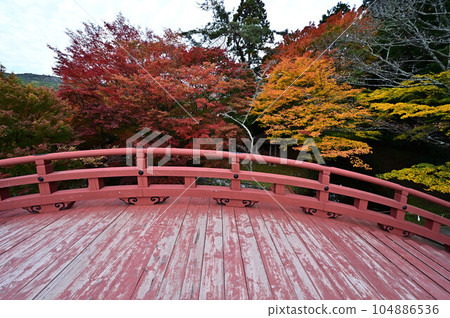 Nyutsuhime Shrine in autumn 104886536