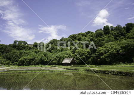 綠意盎然的春天白川鄉 綠意盎然的春天白川鄉 104886564
