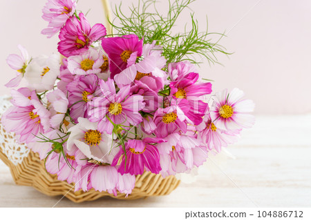 波斯菊花籃 104886712