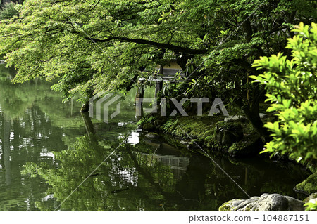 初夏的兼六園,綠意盎然 初夏的兼六園,綠意盎然 104887151