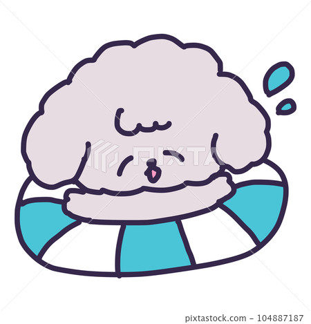 一隻可愛的玩具貴賓犬帶著浮標游泳的插圖 一隻可愛的玩具貴賓犬帶著浮標游泳的插圖 104887187