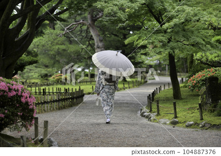 Kimono girls walking around Kenrokuen in the rain 104887376